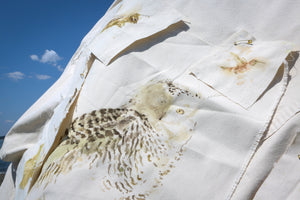 Paintings of a snowy owl, hummingbird, and chipmunk pinned to the tent exterior. Photo by Melissa Blackall.