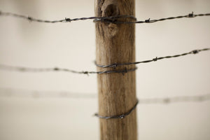 James Leonard - Detail image of Running Fence no. 4, showcasing miniature, handmade barbed wire knots wrapped around a small piece of tree branch