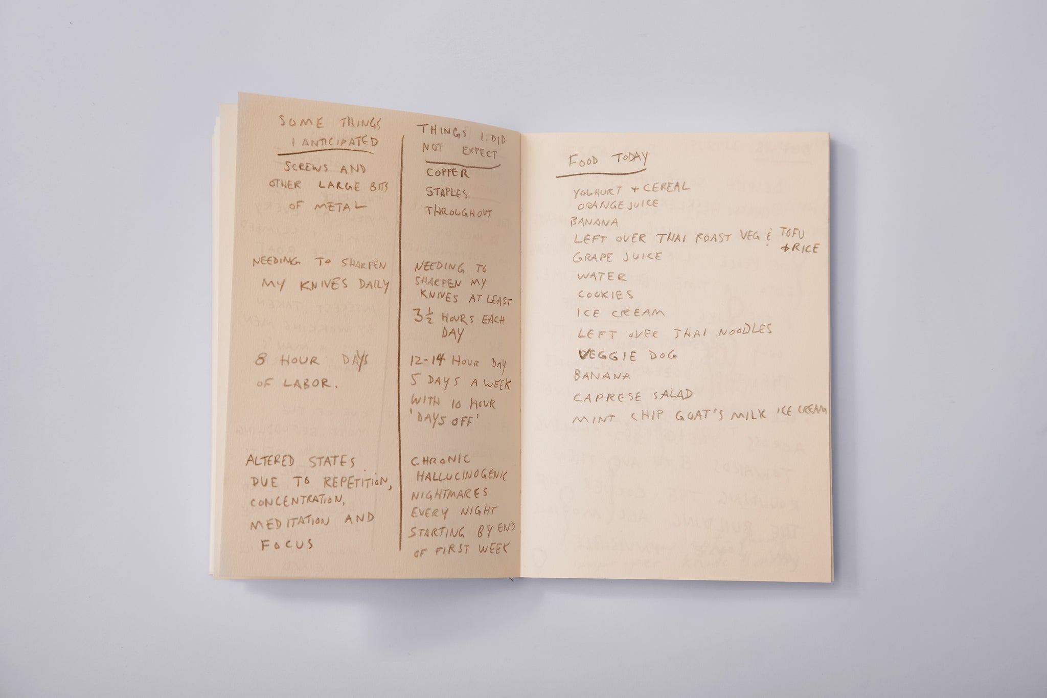 Journal pages from James Leonard's A Kiss for Luck, 2013, with side by side lists of expected and unexpected lessons learned during the artwork.