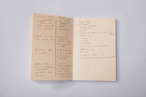 Journal pages from James Leonard's A Kiss for Luck, 2013, with side by side lists of expected and unexpected lessons learned during the artwork.