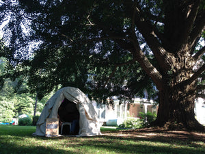 The Tent of Casually Observed Phenologies under the oldest ginko tree in Maryland