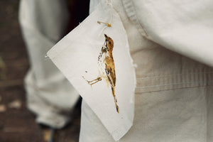 A painting of a bird species, threatened by climate change, pinned to the tent exterior