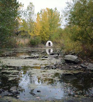 The Tent of Casually Observed Phenologies installed within a protected reservoir, Jersey City. Photo by Wendy Whitesell.