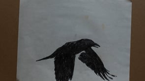 James Leonard - Looped animation of a raven in flight, made from drawings on paper