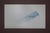 James Leonard - singular blue brushstroke on white; contemporary painting includes typewritten letters