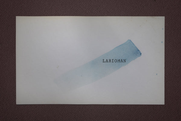 James Leonard - singular blue brushstroke on white; contemporary painting includes typewritten letters