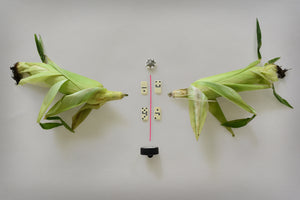 James Leonard - Last Rocket Arrangement using corn and dice