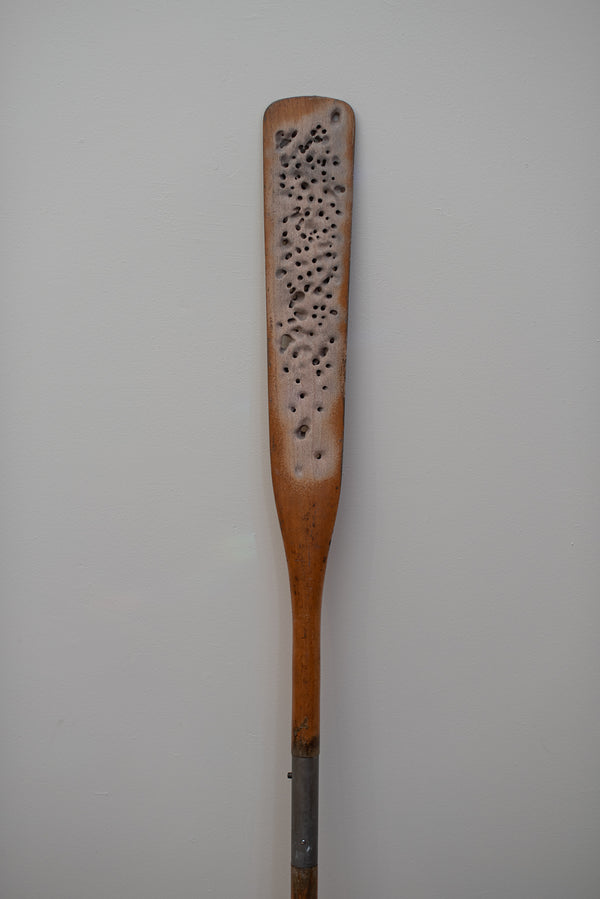 James Leonard - Untitled Oar no. 6 perched upright, with its paddle's varnish worn down to showcase a sandy color and small holes spread across in constellation