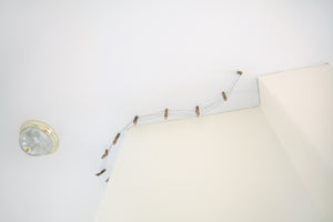James Leonard - A portion of Running Fence no. 5; photographed next to ceiling light for scale
