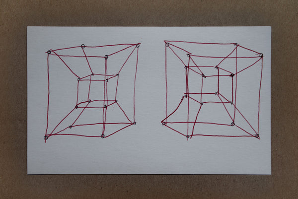 James Leonard - 2 side by side 4-dimensional hypercubes