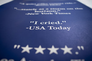 James Leonard - Zoomed in image of the quote, "I cried," - USA Today, which is one of four quotes on the artist's I Dream of Publicity movie poster