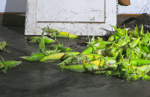 James Leonard - Detail of a pile of dirt and corn cobs on a gallery floor, as part of Untitled (Meditations on Finance)